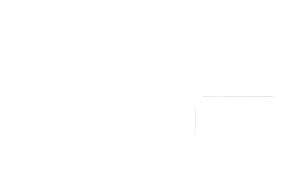 Ecom Site Pro